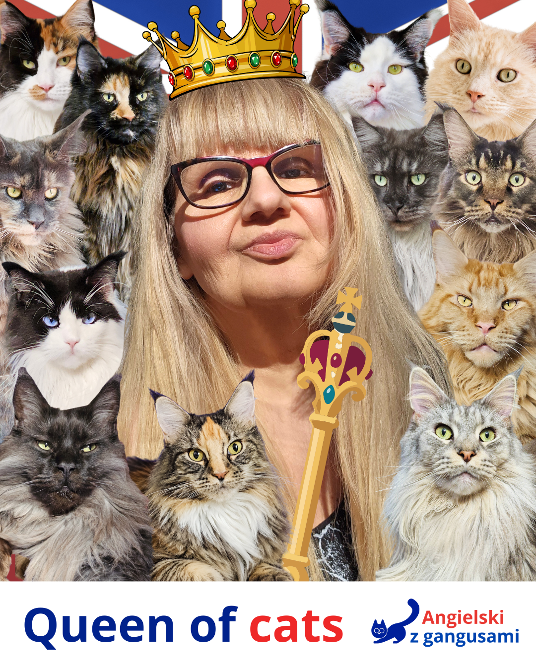 Agnieszka Domosławska i koty