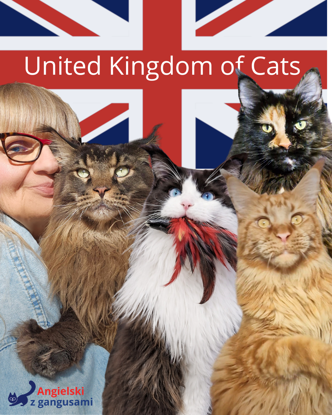 United Kingdom of Cats